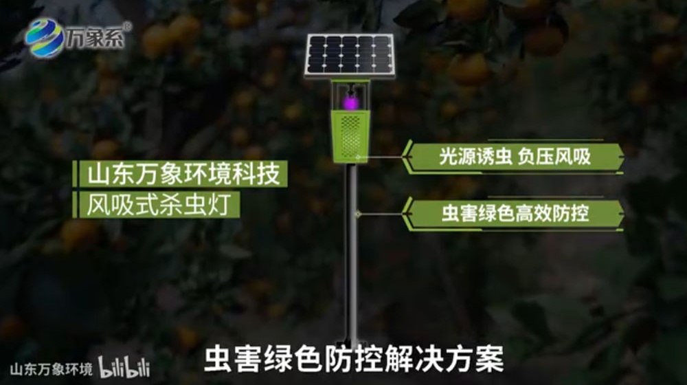 風(fēng)吸式殺蟲(chóng)燈